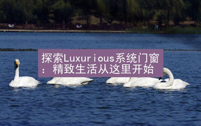 探索Luxurious系统门窗：精致生活从这里开始