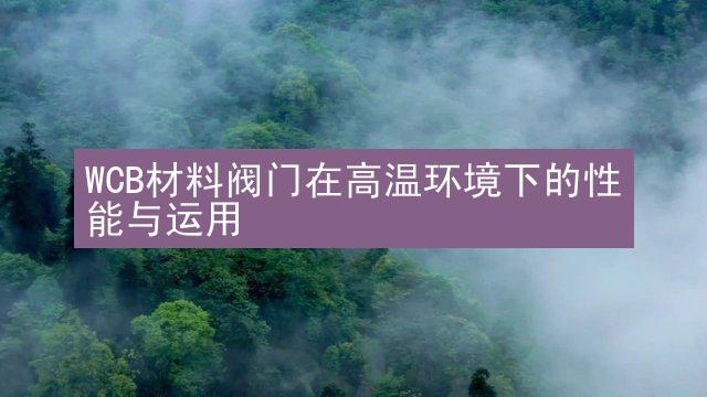 WCB材料阀门在高温环境下的性能与运用