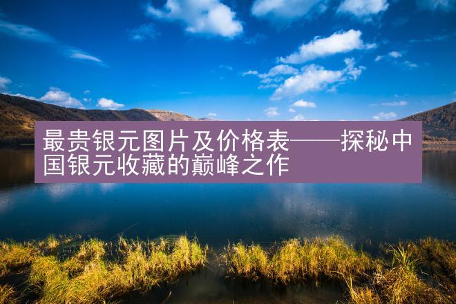 最贵银元图片及价格表——探秘中国银元收藏的巅峰之作