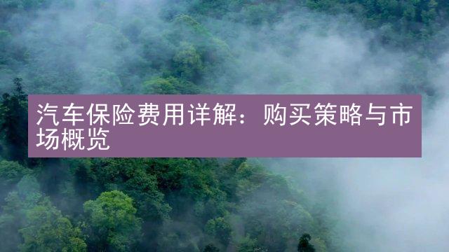 汽车保险费用详解：购买策略与市场概览