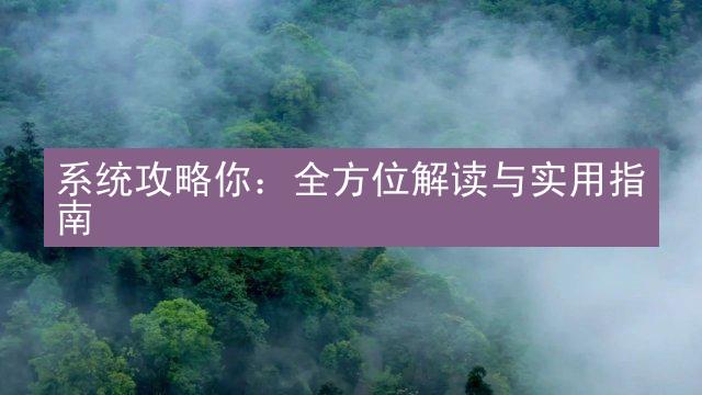 系统攻略你：全方位解读与实用指南