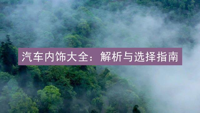 汽车内饰大全：解析与选择指南