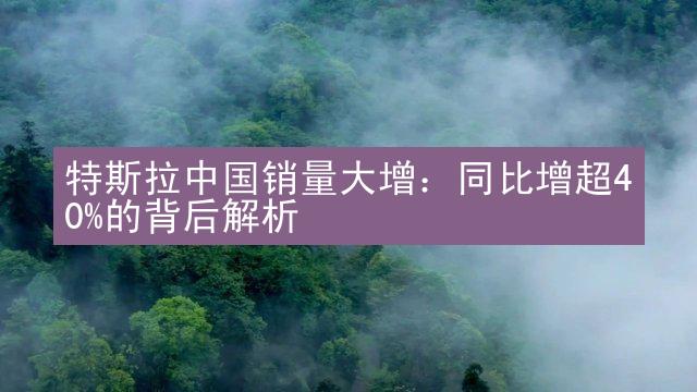 特斯拉中国销量大增：同比增超40%的背后解析