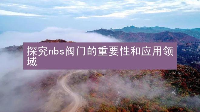 探究nbs阀门的重要性和应用领域