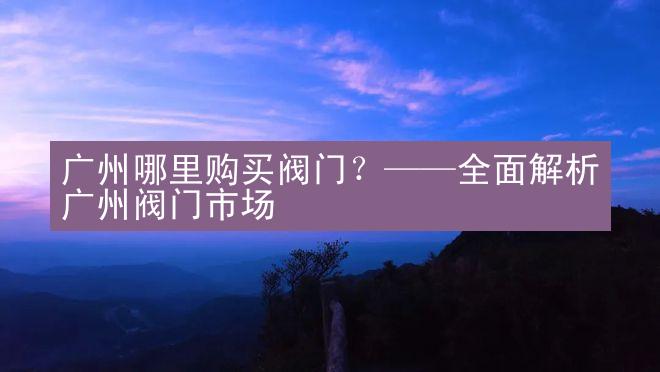 广州哪里购买阀门？——全面解析广州阀门市场