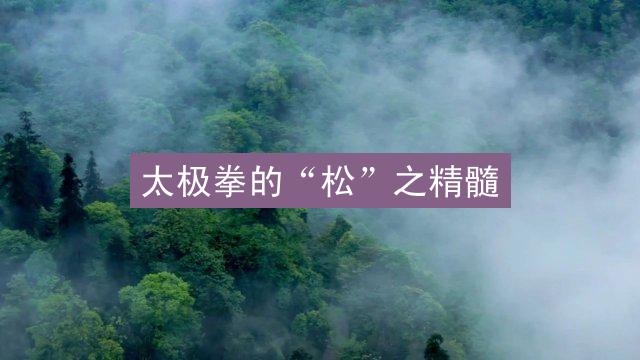 太极拳的“松”之精髓