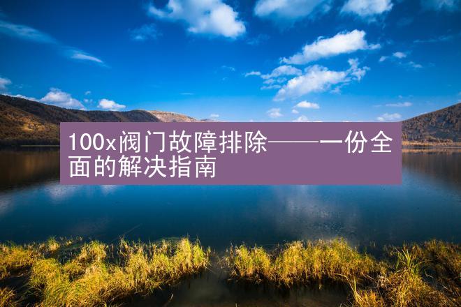 100x阀门故障排除——一份全面的解决指南