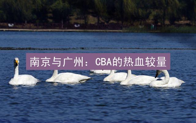 南京与广州：CBA的热血较量