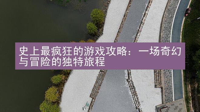 史上最疯狂的游戏攻略：一场奇幻与冒险的独特旅程