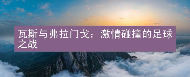 瓦斯与弗拉门戈：激情碰撞的足球之战