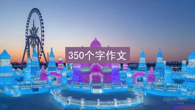 350个字作文