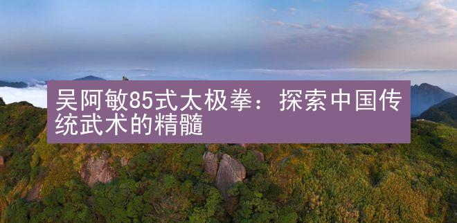 吴阿敏85式太极拳：探索中国传统武术的精髓