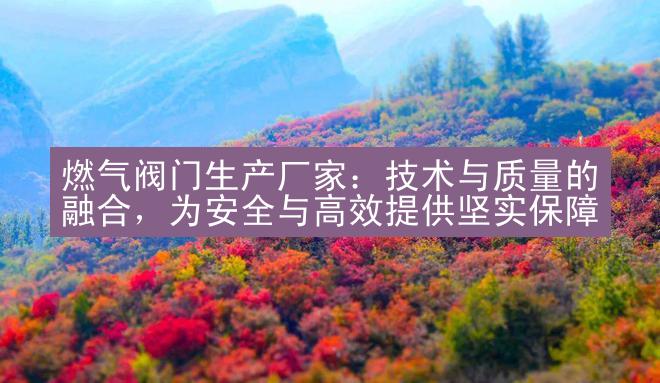 燃气阀门生产厂家：技术与质量的融合，为安全与高效提供坚实保障