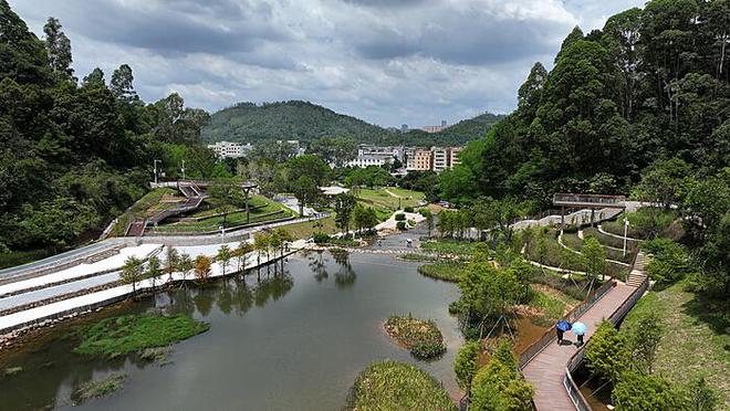 餐馆员工将地沟油盛回锅里：当地权威部门正面回应与监管措施